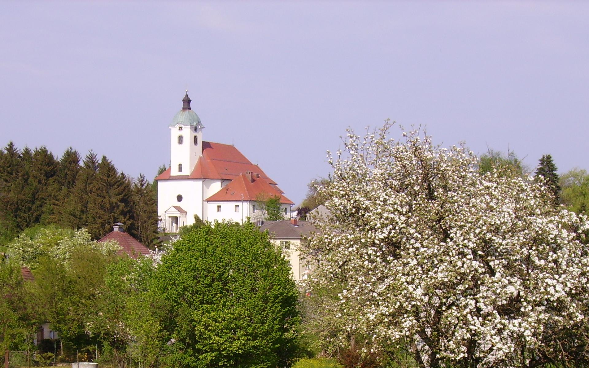 Schiedlberg im Frühling